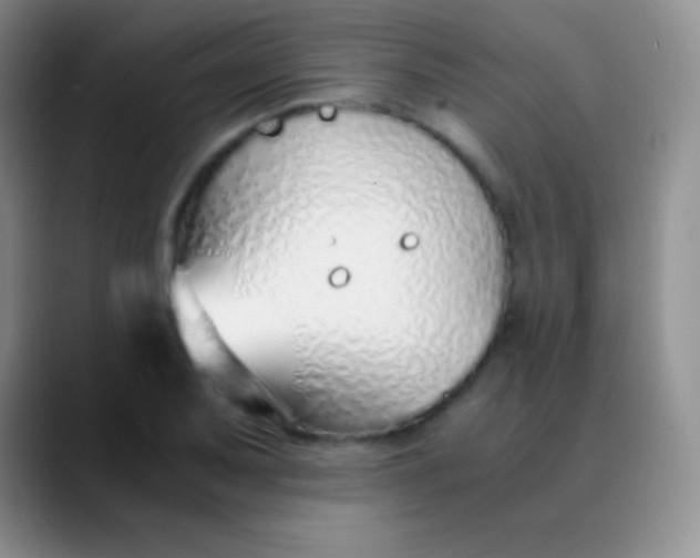 X0000089891079200707192010