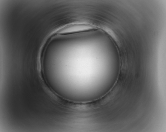 X0000089891080200707192010