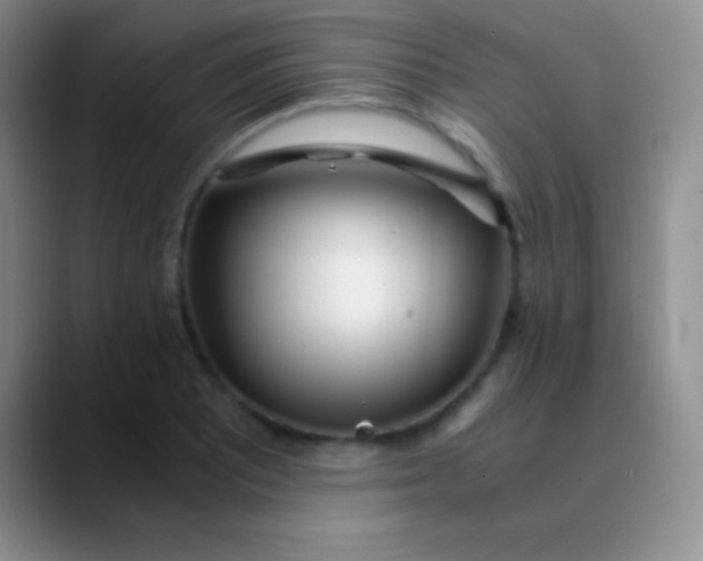 X0000089891081200707192010