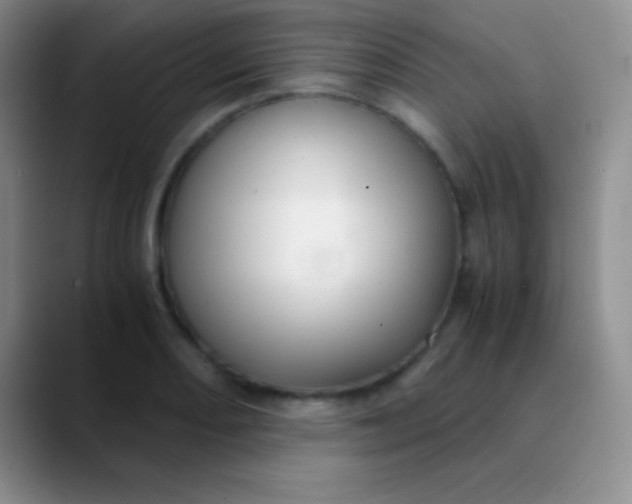 X0000089891082200707192010