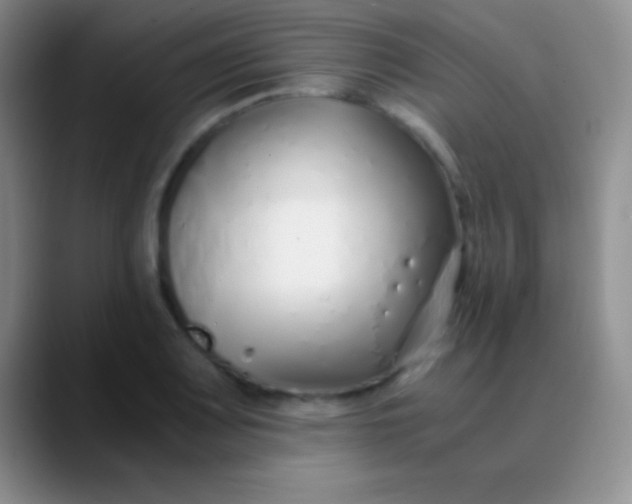 X0000089891083200707192010