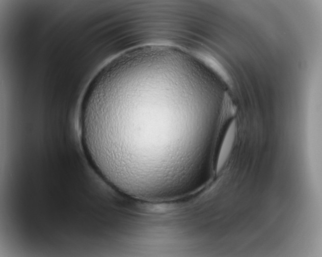 X0000089891084200707192010