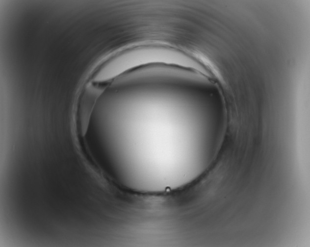 X0000089891085200707192010