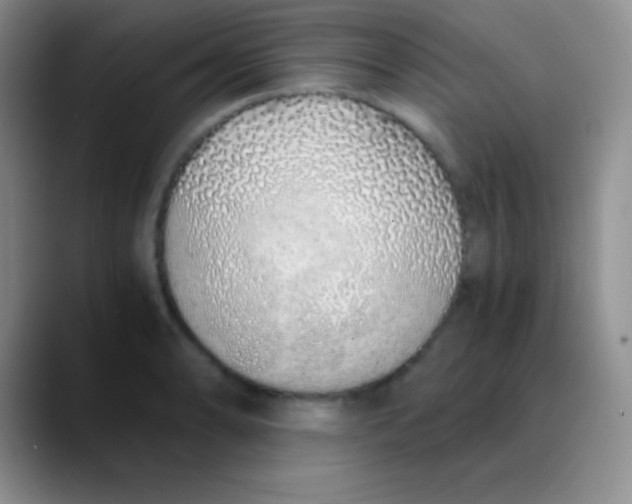 X0000089891086200707192010