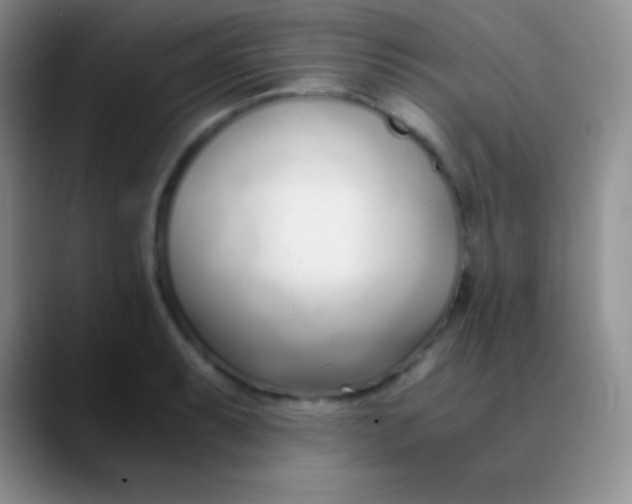 X0000089891087200707192010