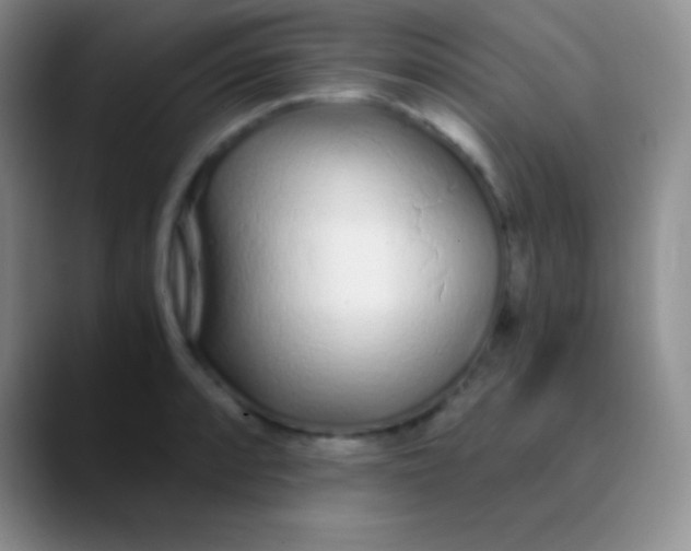 X0000089891088200707192010