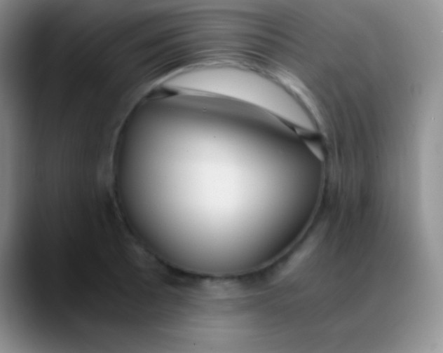 X0000089891089200707192010