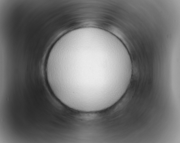 X0000089891090200707192010