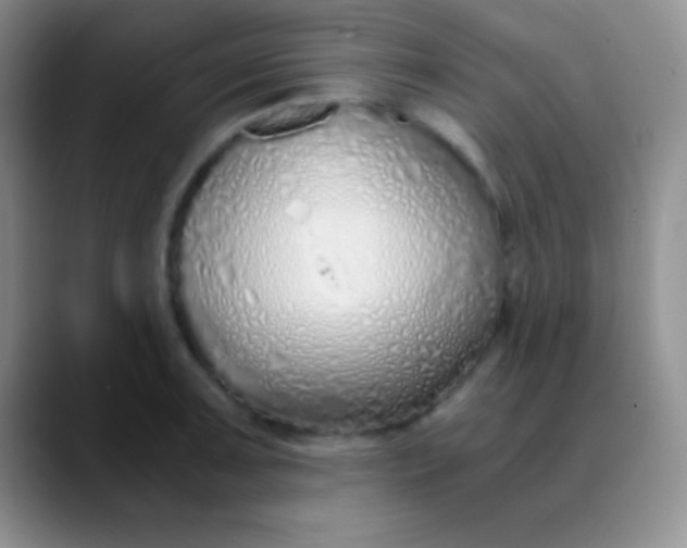 X0000089891091200707192010