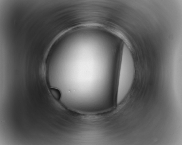 X0000089891092200707192010