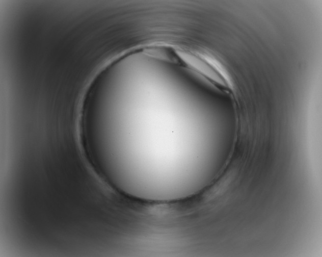 X0000089891093200707192010