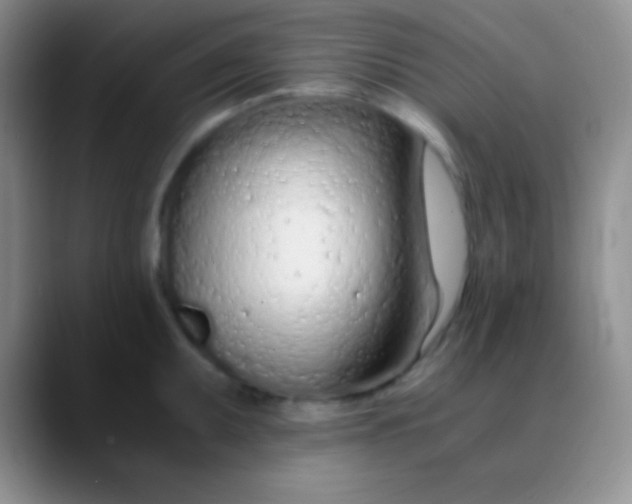 X0000089891095200707192010