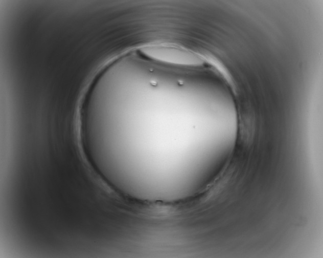 X0000089891096200707192010