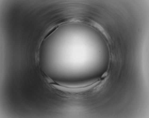 X0000089891097200707192010