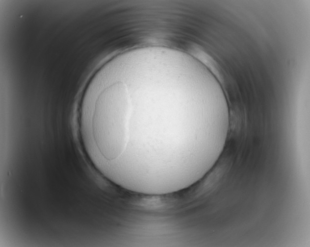 X0000089891098200707192010