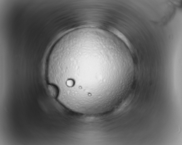 X0000089891099200707192010