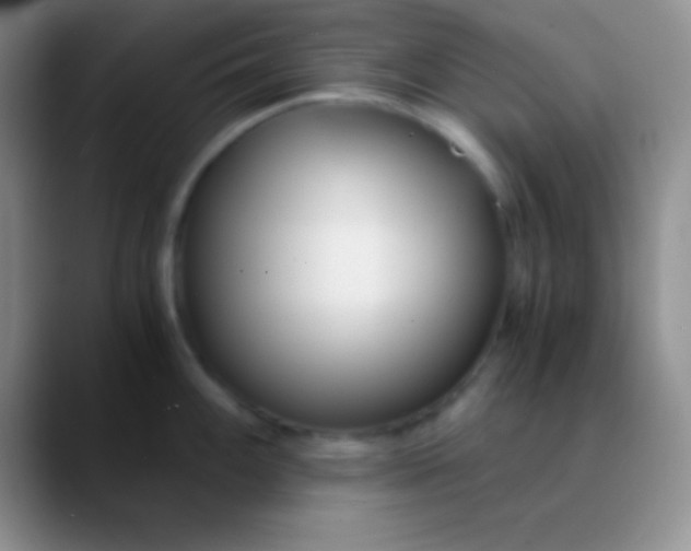 X0000089891100200707192010