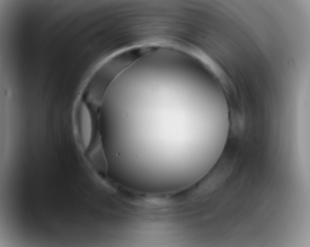 X0000089891102200707192010