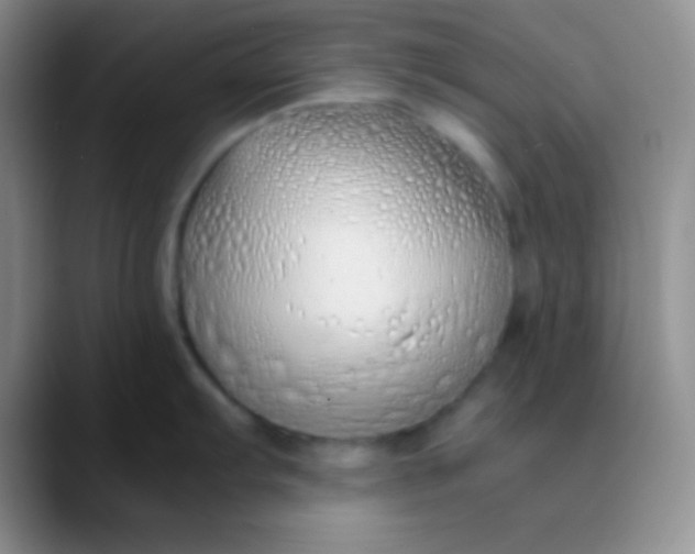 X0000089891103200707192010