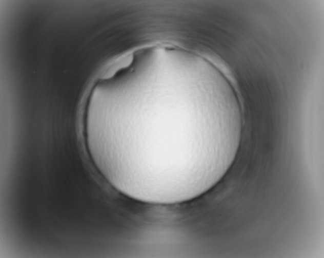 X0000089891104200707192010