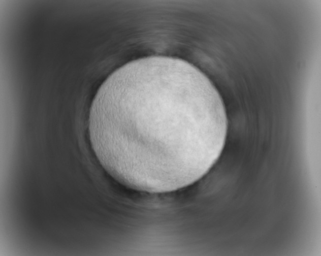 X0000089891105200707192009