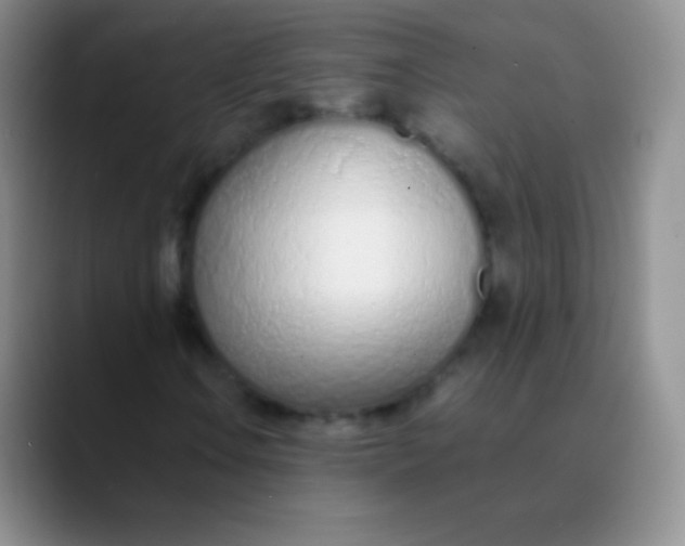 X0000089891106200707192009