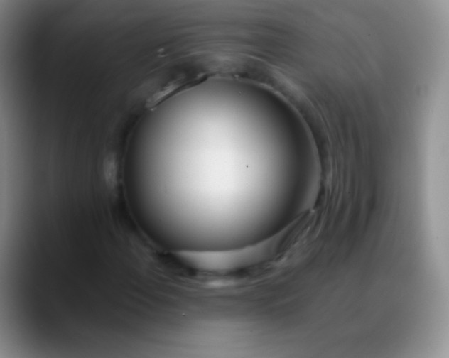 X0000089891108200707192009