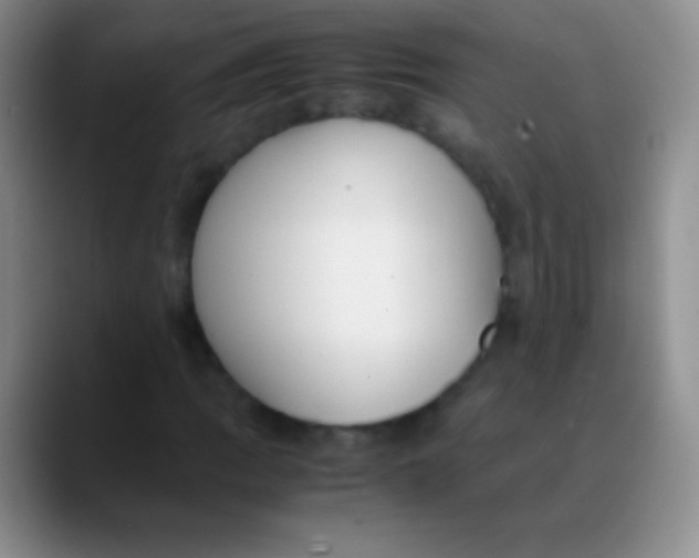 X0000089891109200707192009