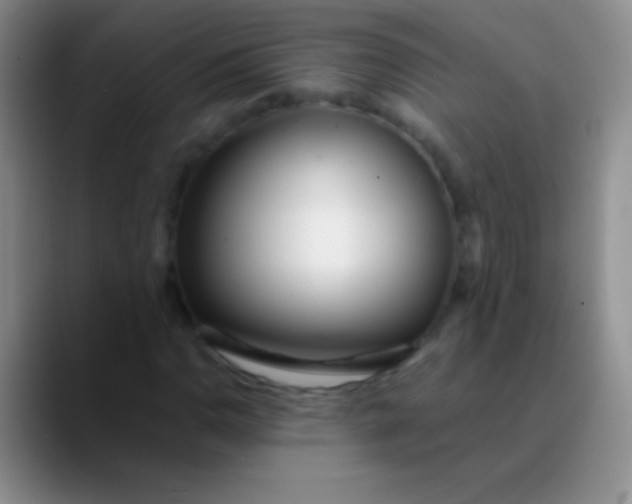 X0000089891110200707192009