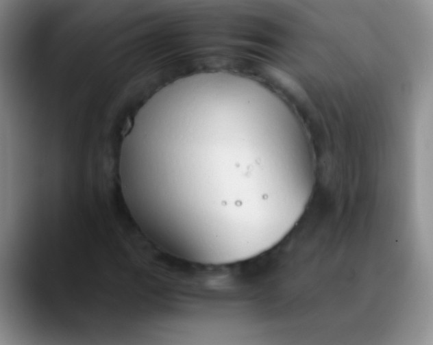 X0000089891111200707192009