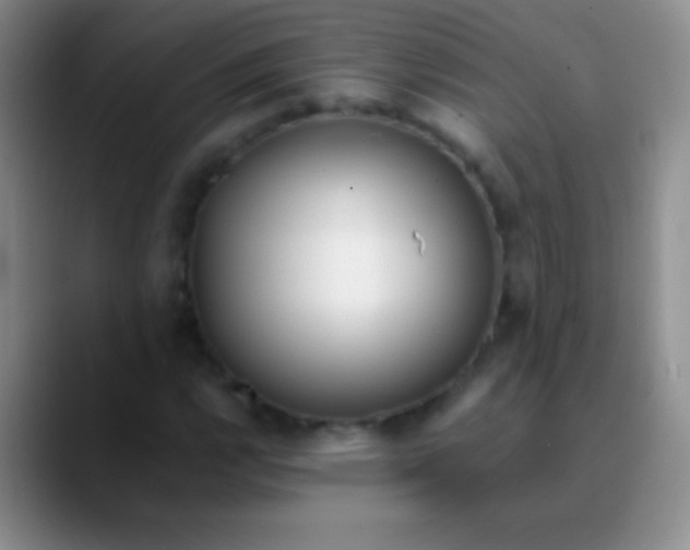 X0000089891112200707192009