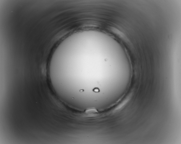 X0000089891113200707192009