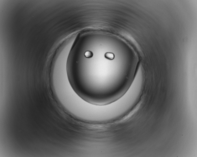 X0000089891114200707192009