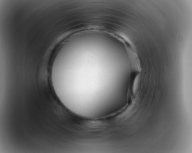 X0000089891115200707192009