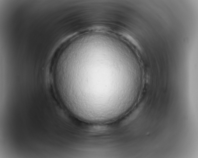 X0000089891117200707192009