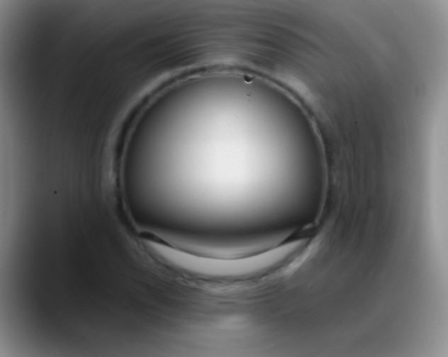 X0000089891118200707192009