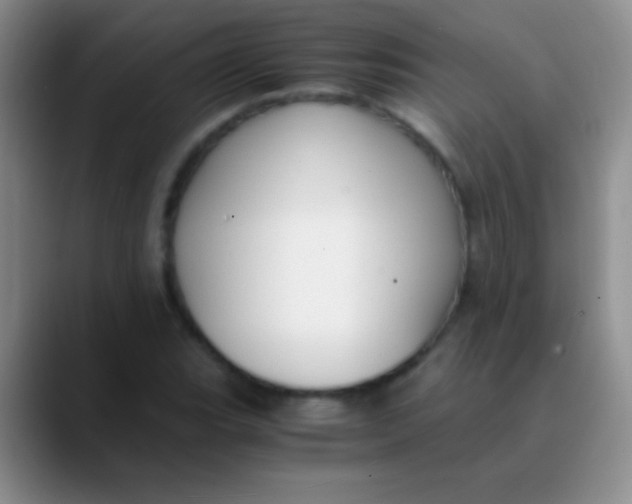 X0000089891119200707192009