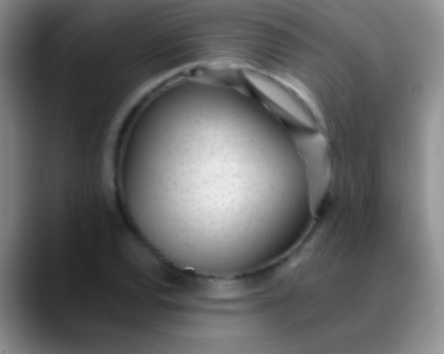 X0000089891120200707192009