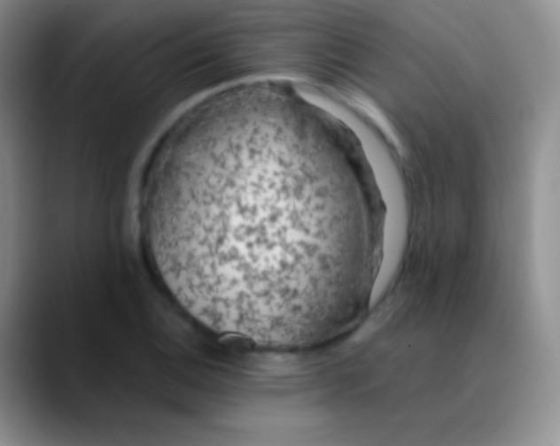 X0000089891124200707192009