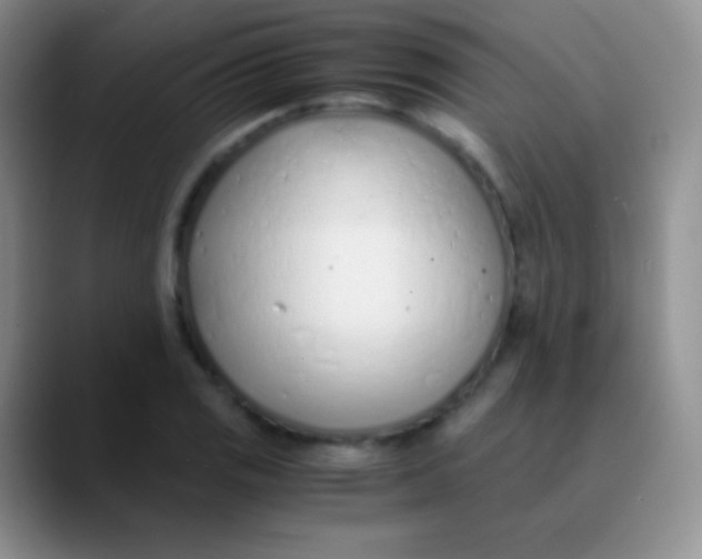 X0000089891125200707192009