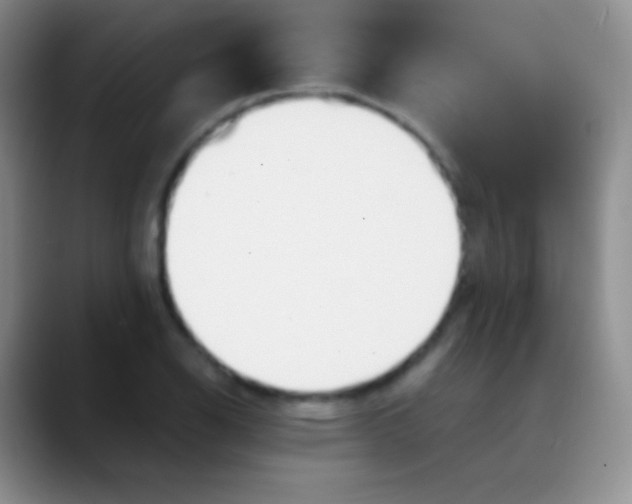 X0000089891126200707192009