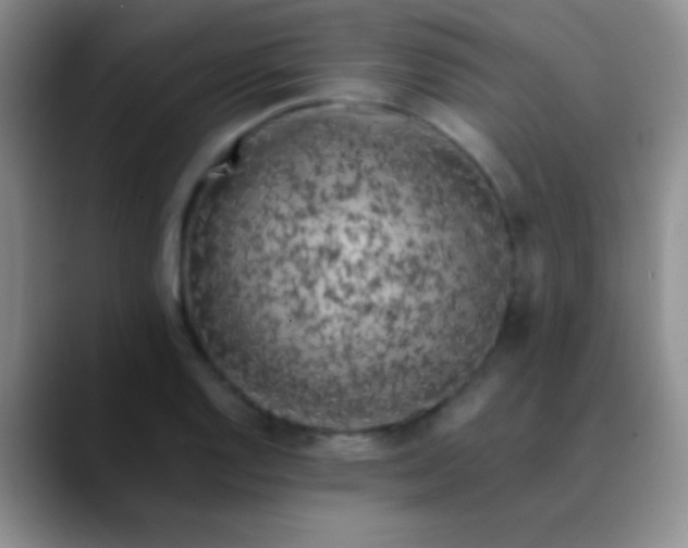 X0000089891128200707192009