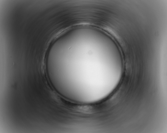 X0000089891129200707192009