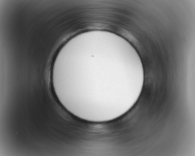 X0000089891130200707192009