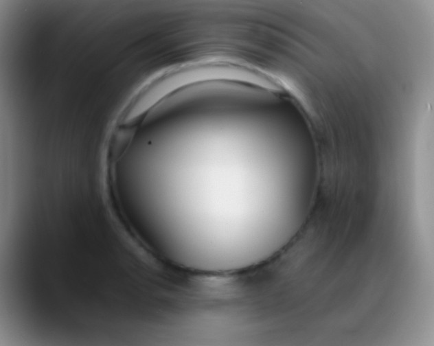 X0000089891134200707192009