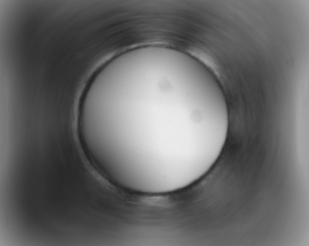 X0000089891135200707192009