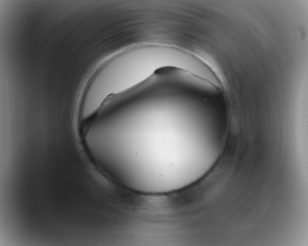 X0000089891136200707192009