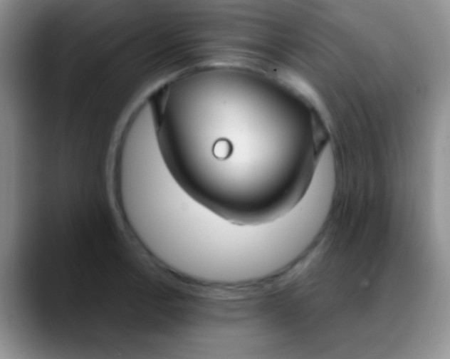 X0000089891138200707192009