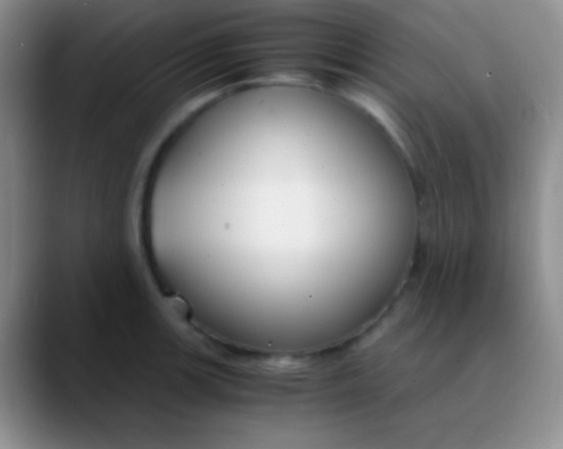 X0000089891139200707192009