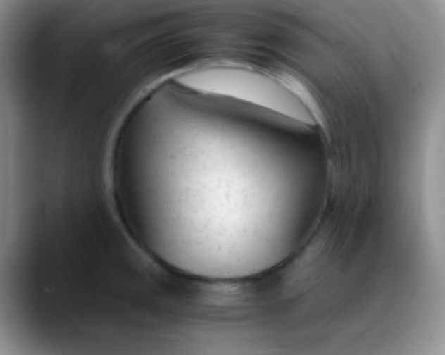 X0000089891141200707192010